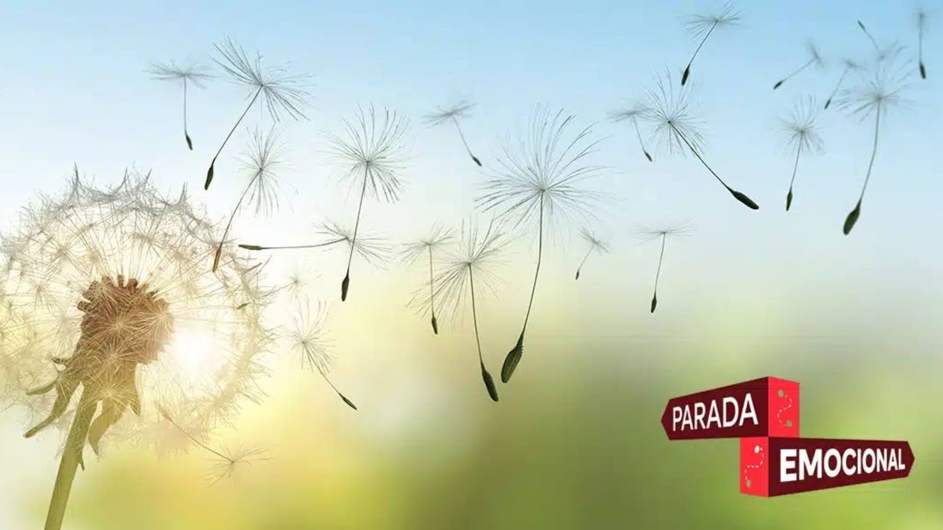 PARADA EMOCIONAL. Una experiencia itinerante sobre promoción de la salud mental y el bienestar emocional